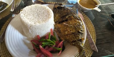 Island Dishes - Photo 5