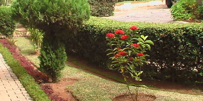 Ivato Hotel - Photo 5