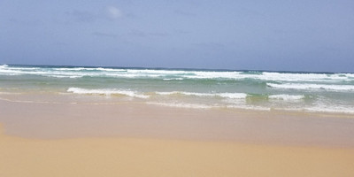 Kakatar - Photo 4