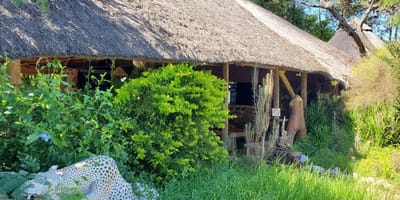 Kgogomodumo Lodge, Kanye - Photo 1