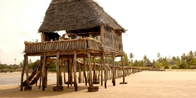 Kipungani explorer - Photo 4