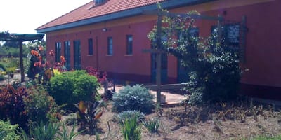 Kokwet Guesthouse (Eldoret) - Photo 4