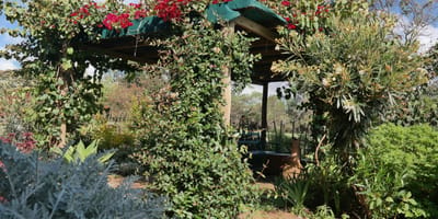 Kokwet Guesthouse (Eldoret) - Photo 5