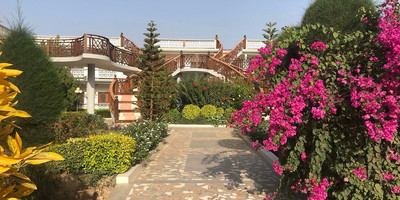 La pierre de lisse - Photo 4