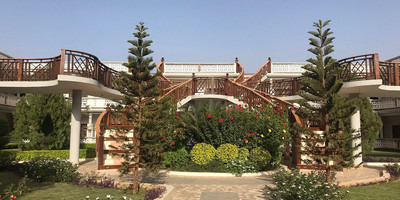La pierre de lisse - Photo 3