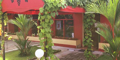 La Route des Vins - Photo 2