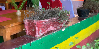 Lalibela Restaurant - Photo 1