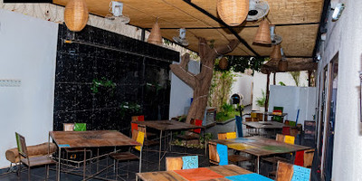 Le Barka - Photo 3