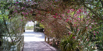 Le calao du lac rose - Photo 10