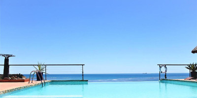 Le grand bleu - Photo 1