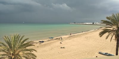 Le Lido - Photo 2
