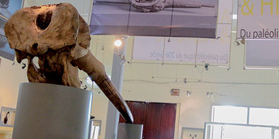 Le Musée des Civilisations - Photo 5