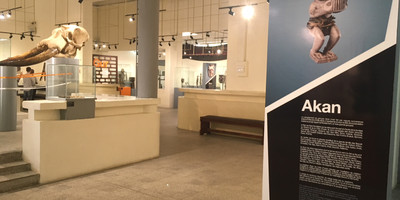 Le Musée des Civilisations - Photo 2