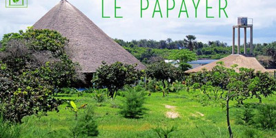 Le papayer ecolodge - Photo 1