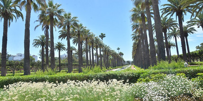 Le Parc de la Ligue Arabe - Photo 3