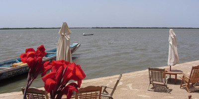 Le Perroquet - Photo 4