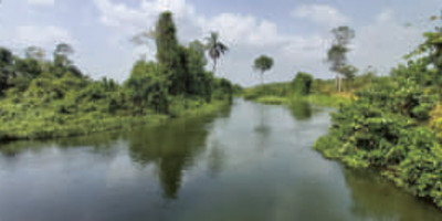 Le refuge du Bandama - Photo 1