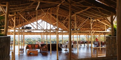 Le soleil des tsingy - Photo 4