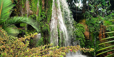 Les Cascades Du Mfoundi - Photo 1