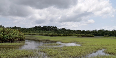 Les îles ehotilé - Photo 1