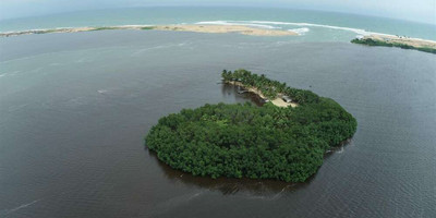 L’Île des Robinsons - Photo 1