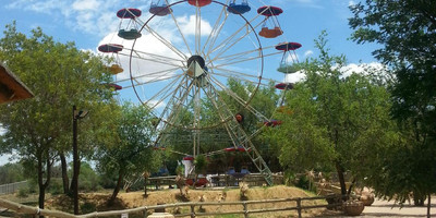 Lion Park Resort - Photo 2
