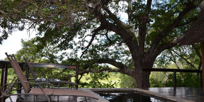 Lodge elephant plains - Photo 4