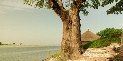 Lodge lagune - Photo 10