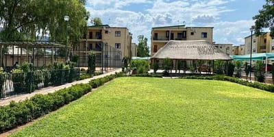Louie Ville - Forest Hill - Photo 1