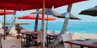 Malibu Beach Club - Photo 6