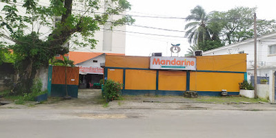 Mandarine - Photo 1