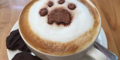 Matbronze cafe - Photo 2