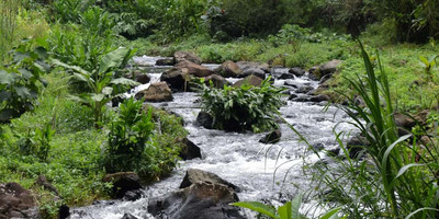 Materuni village and waterfall day tour - Photo 3
