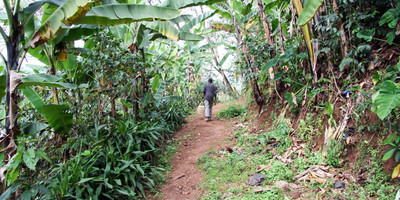 Materuni waterfalls day trip - Photo 5