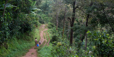 Materuni waterfalls day trip - Photo 4