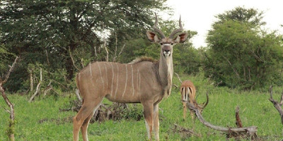Mokoro full day trip - Photo 4