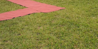 Mosaic - Photo 1