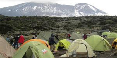 Mount kenya trek and classic safari adventure - Photo 14