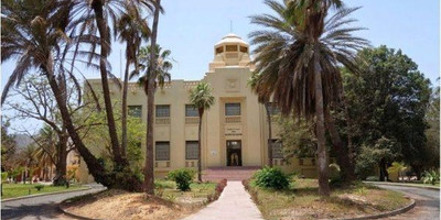 Musée Théodore Monod d’art africain - Photo 1