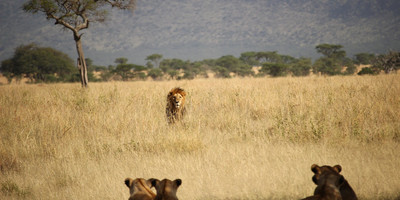 Nairobi national park day trip - Photo 5