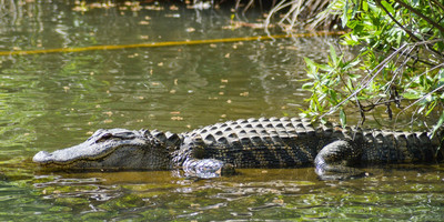 Nairobi national park day trip - Photo 8