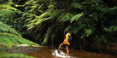 Napuru waterfalls – a hidden gem on mount meruactive - Photo 5