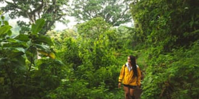 Napuru waterfalls – a hidden gem on mount meruactive - Photo 1