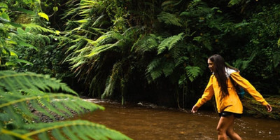 Napuru waterfalls – a hidden gem on mount meruactive - Photo 4