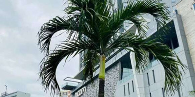 Noom Hôtel Abidjan Plateau - Photo 1