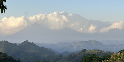 Nturo Safaris - Photo 3