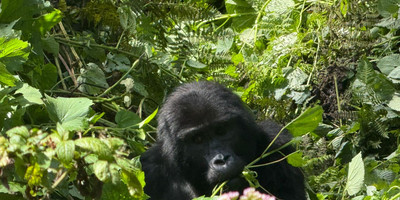 Nturo Safaris - Photo 2