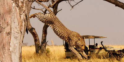 Nturo Safaris - Photo 9