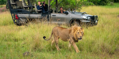 Nturo Safaris - Photo 8