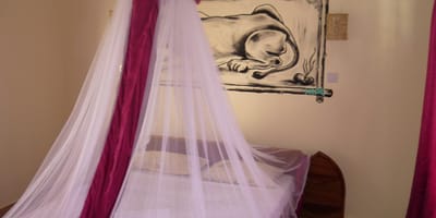 Nyali Springs Guest House & Resort - Photo 4